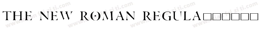 the new roman regula字体转换
